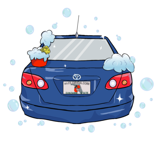 Swift Detail
